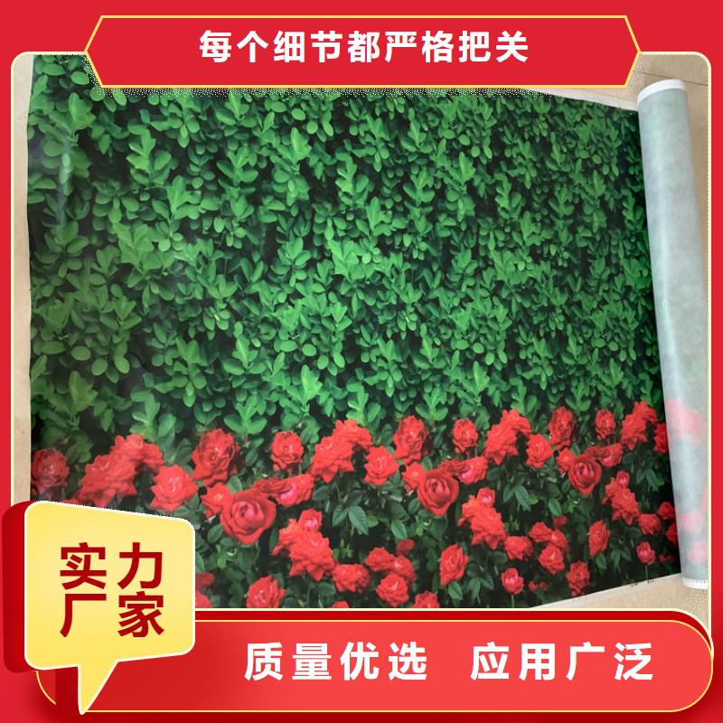 缠树带厂家技术领先