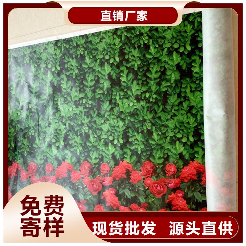 缠树带产品齐全