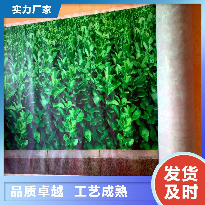 缠树带供应商可定制