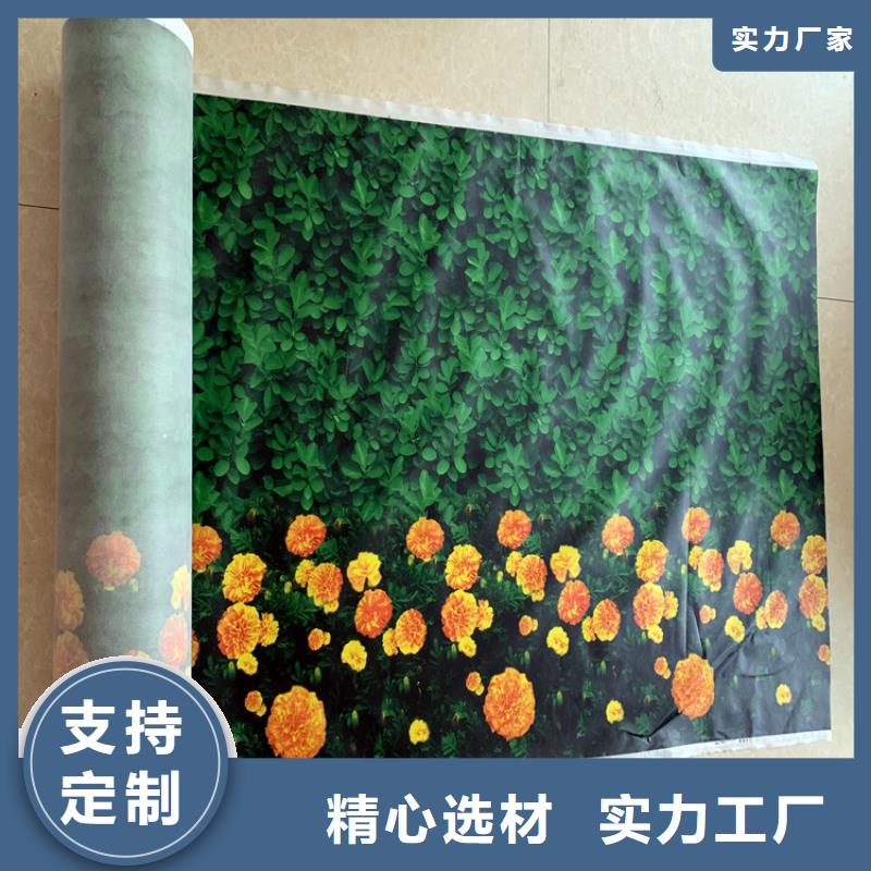 缠树带产品齐全