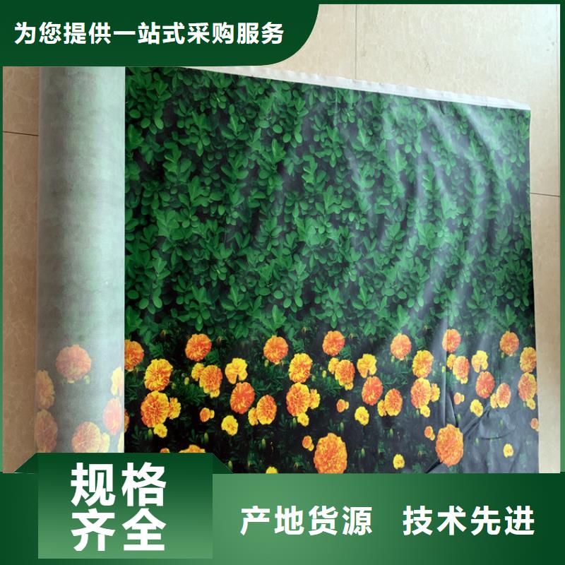 2025欢迎访问##缠树带厂家##可定制