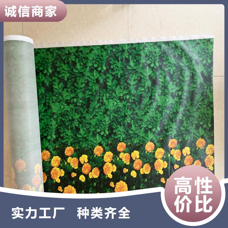 供应批发缠树带-品牌