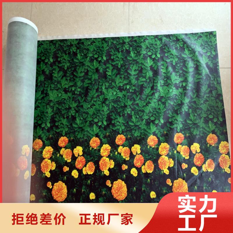 缠树带-欢迎来厂考察