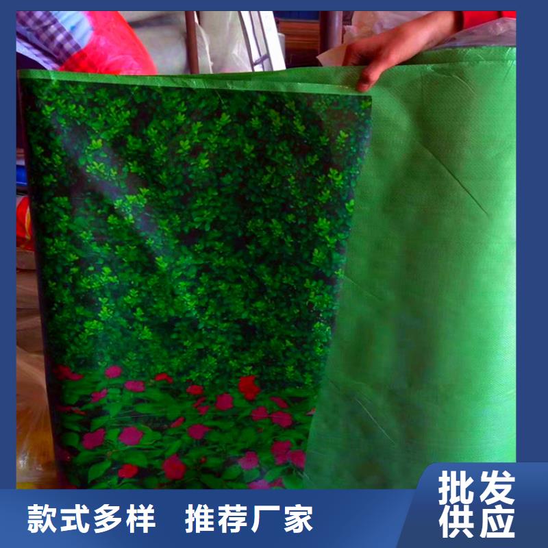 缠树带厂家-更专业严选好货