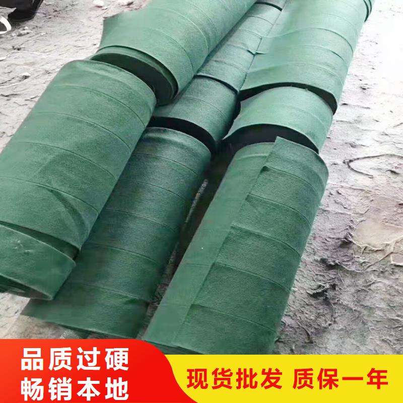 缠树带-缠树带可信赖