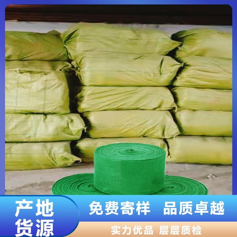 本地的缠树带生产厂家