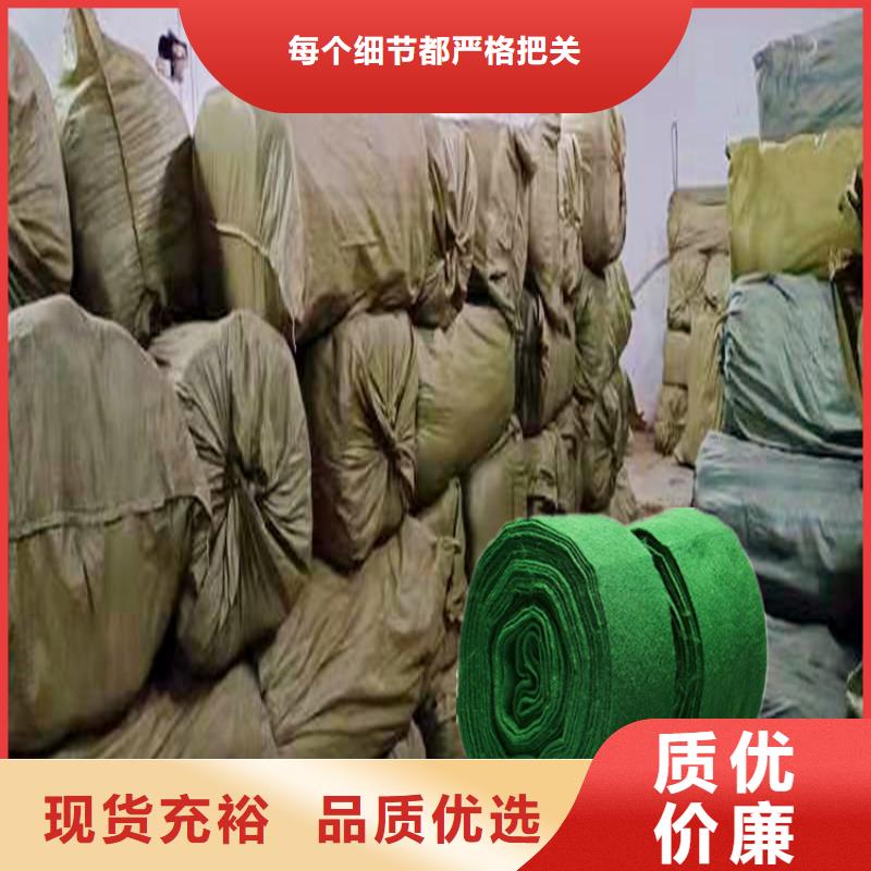 缠树带价格合理的厂家