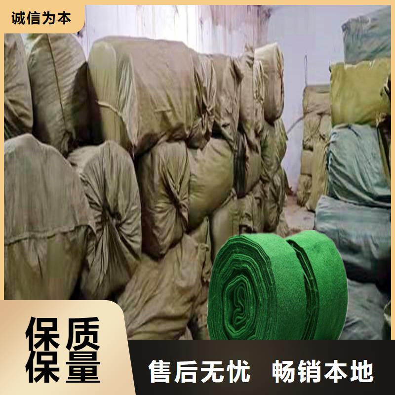 值得信赖的缠树带厂家
