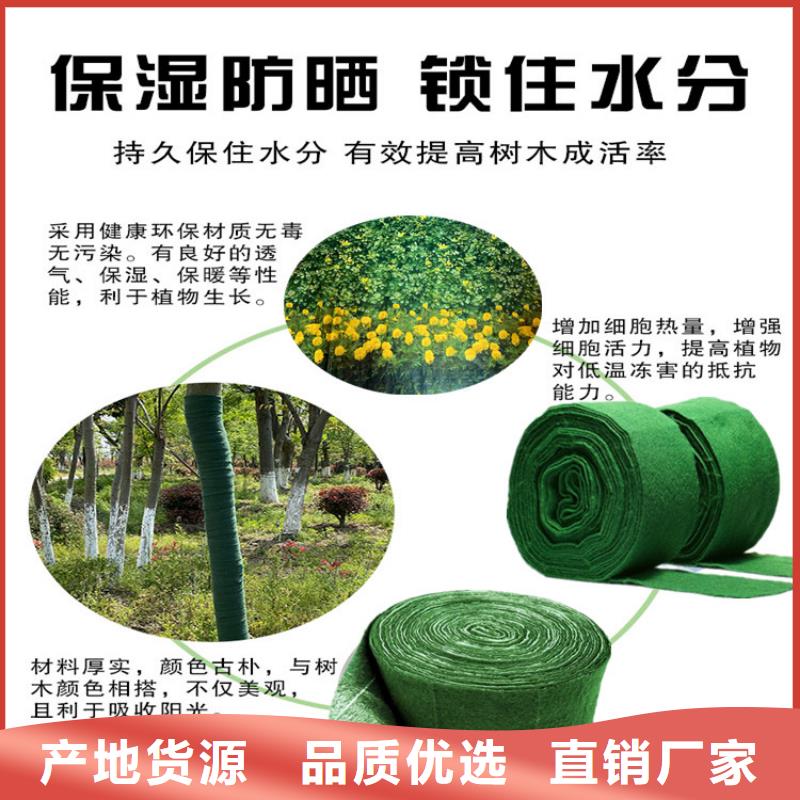缠树带百搜不如一问
