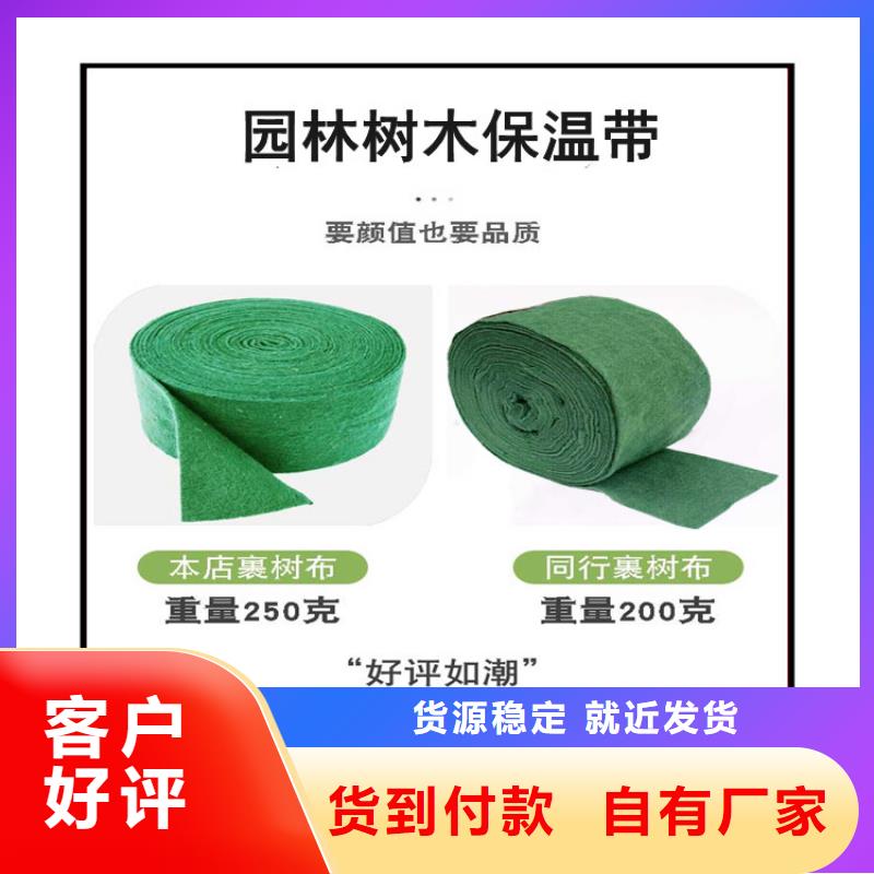 供应缠树带的生产厂家