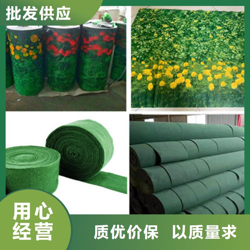现货供应缠树带_精选厂家