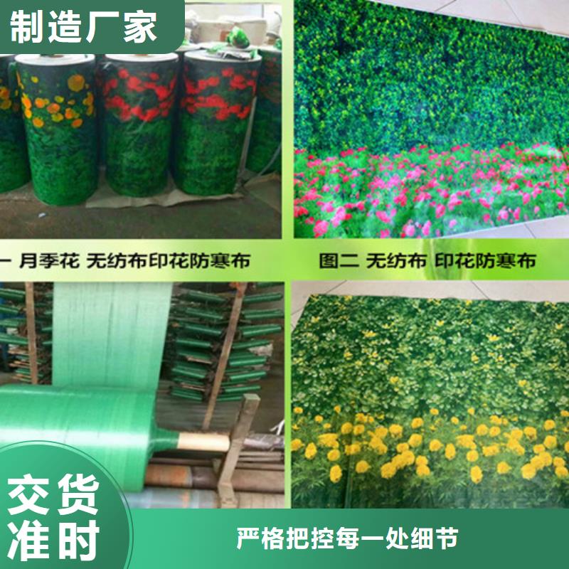 缠树带找玉垒吉祥科技有限公司