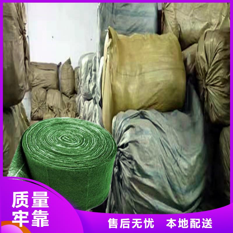 价格合理的缠树带销售厂家