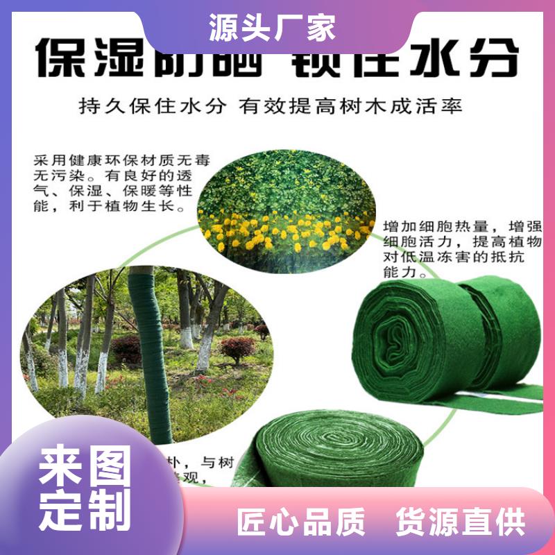 缠树带厂家订制