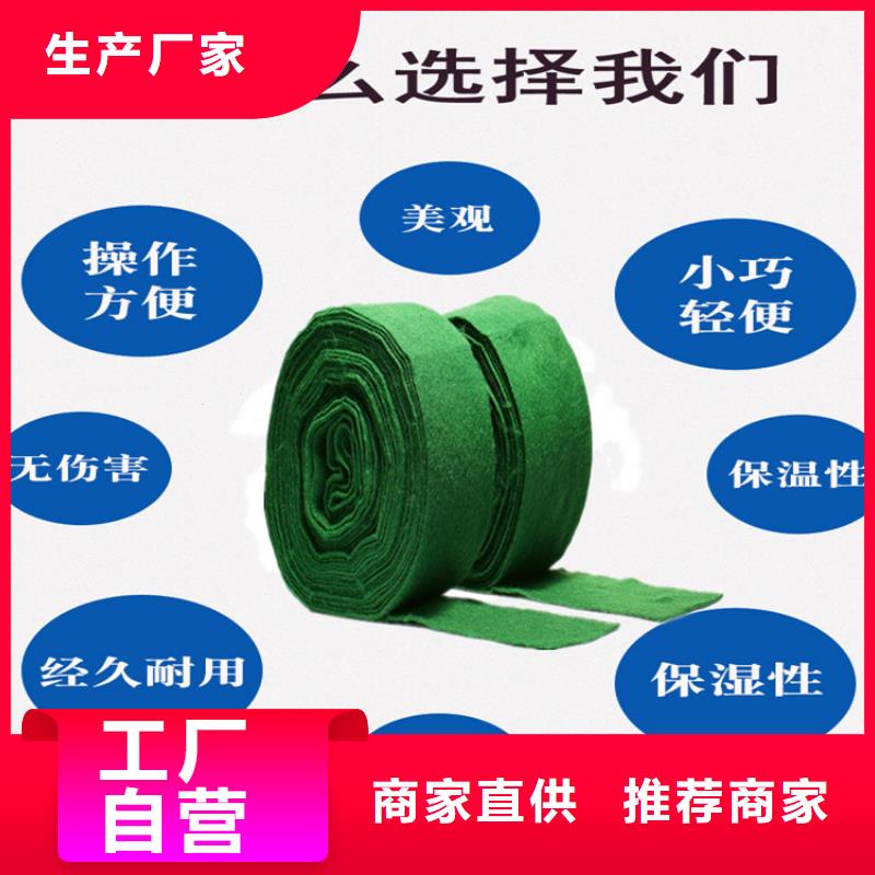 缠树带样式众多