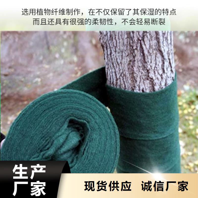 缠树带供应商可定制