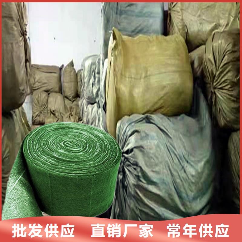 缠树带物流送货上门