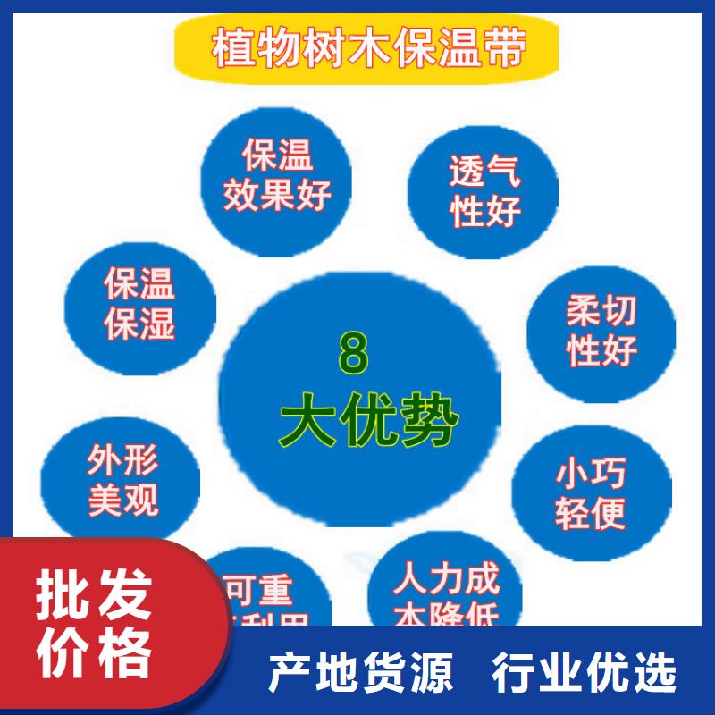 缠树带资讯