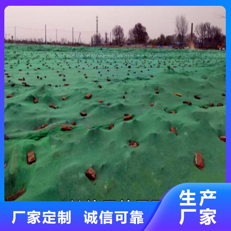 盖土网价格透明同城制造商