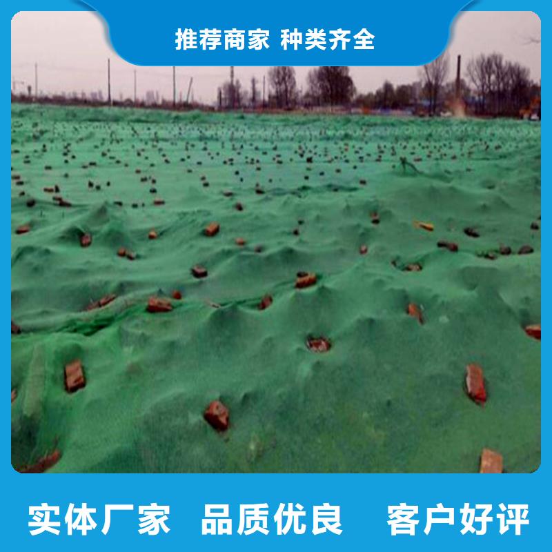 盖土网|品质好的盖土网厂家