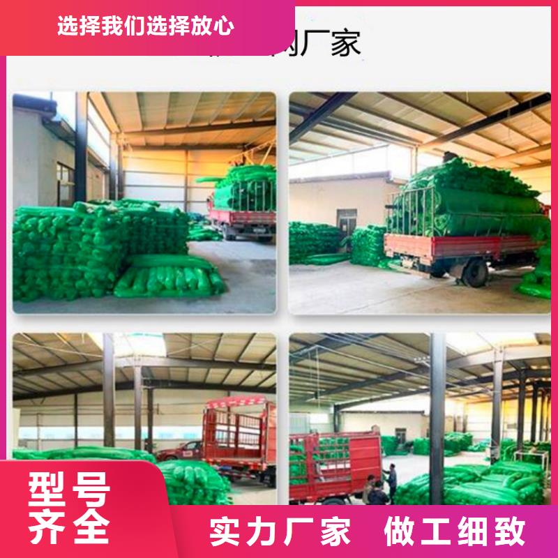 盖土网全年低价当日价格