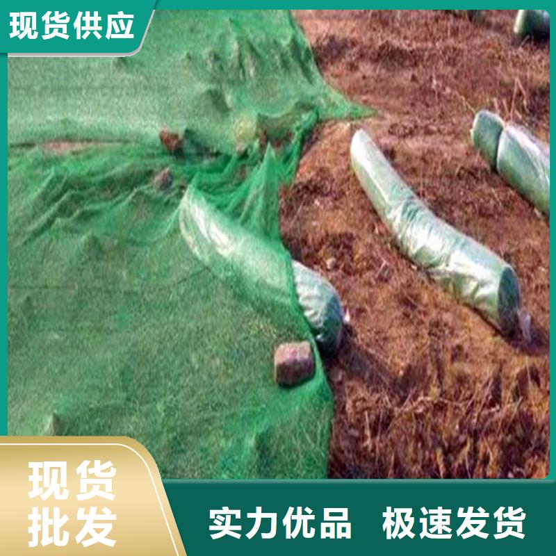 盖土网真正的厂家货源