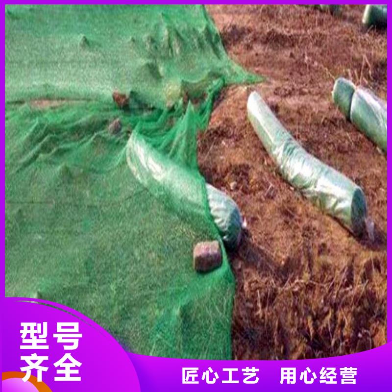 值得信赖的盖土网经销商