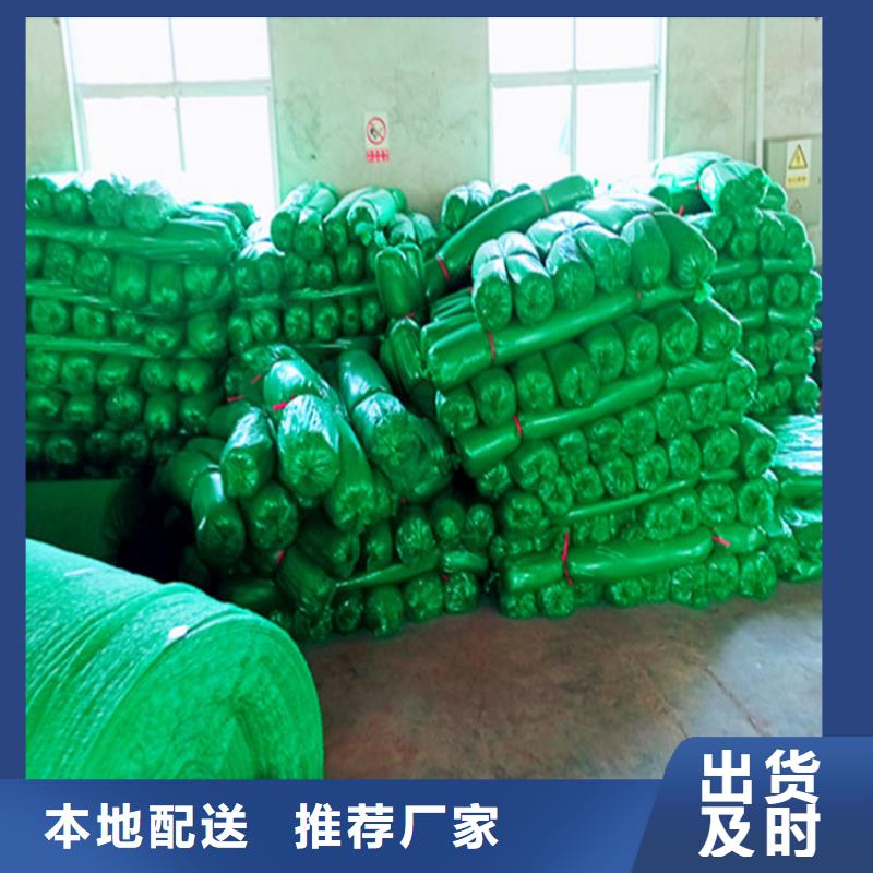 专业销售盖土网-放心