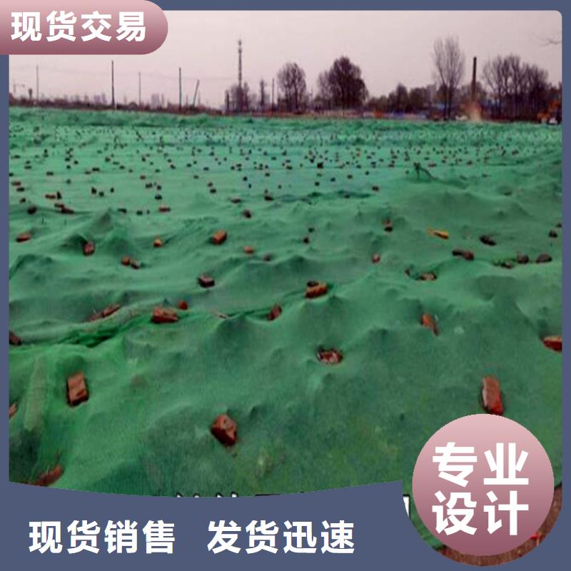 盖土网畅销全国
