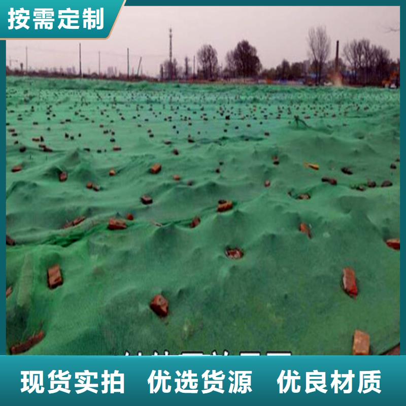 盖土网_多年生产经验厂家