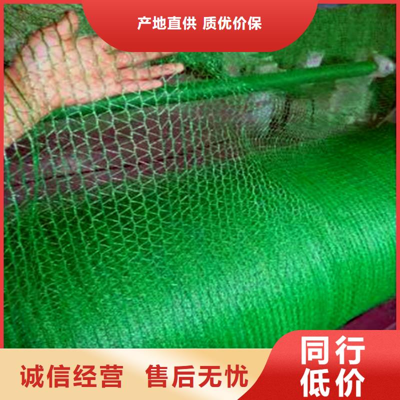 盖土网-质量保证