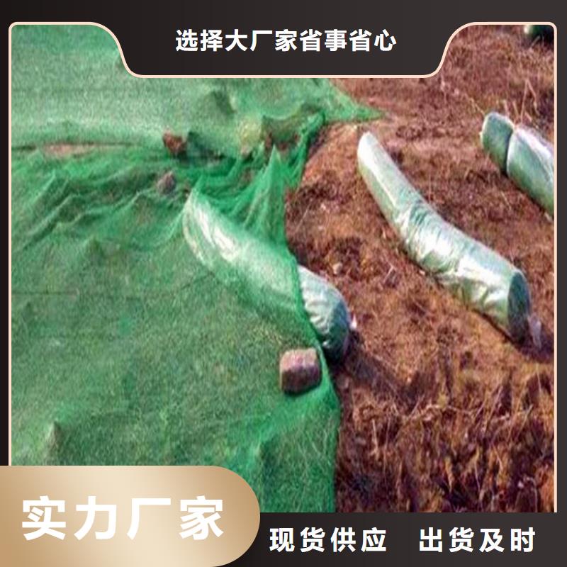销售盖土网公司