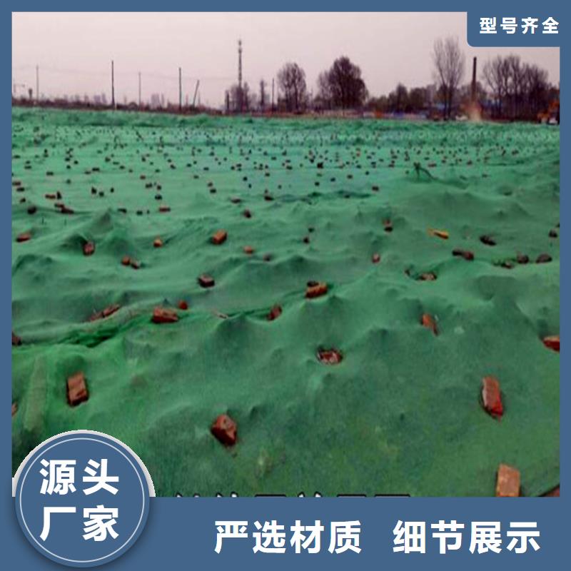 采购盖土网必看-价格低