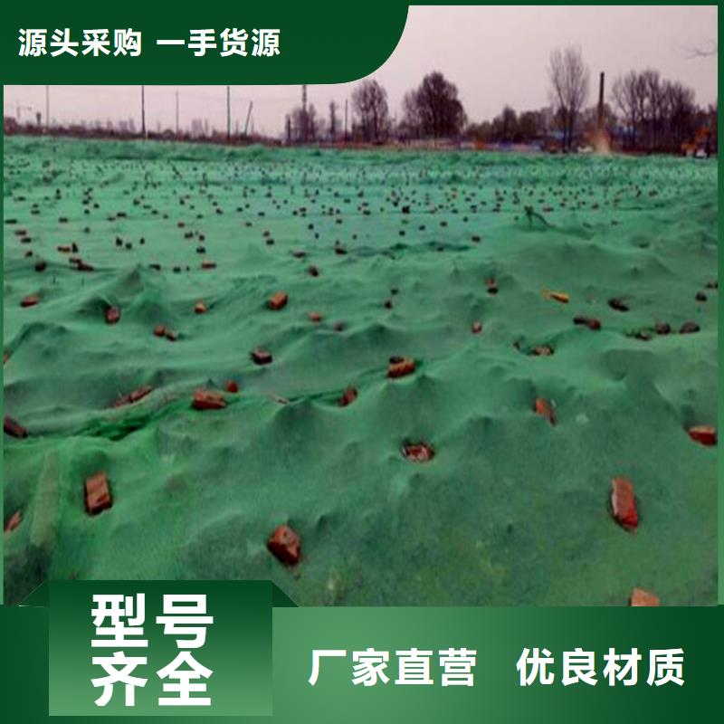 可靠的盖土网生产厂家全品类现货