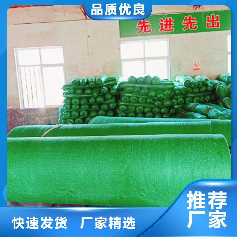 盖土网厂家特惠当地厂家值得信赖
