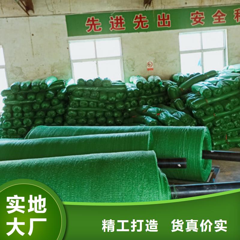 盖土网厂家现货直发