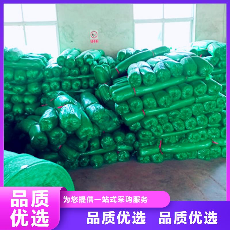 盖土网-超低价格