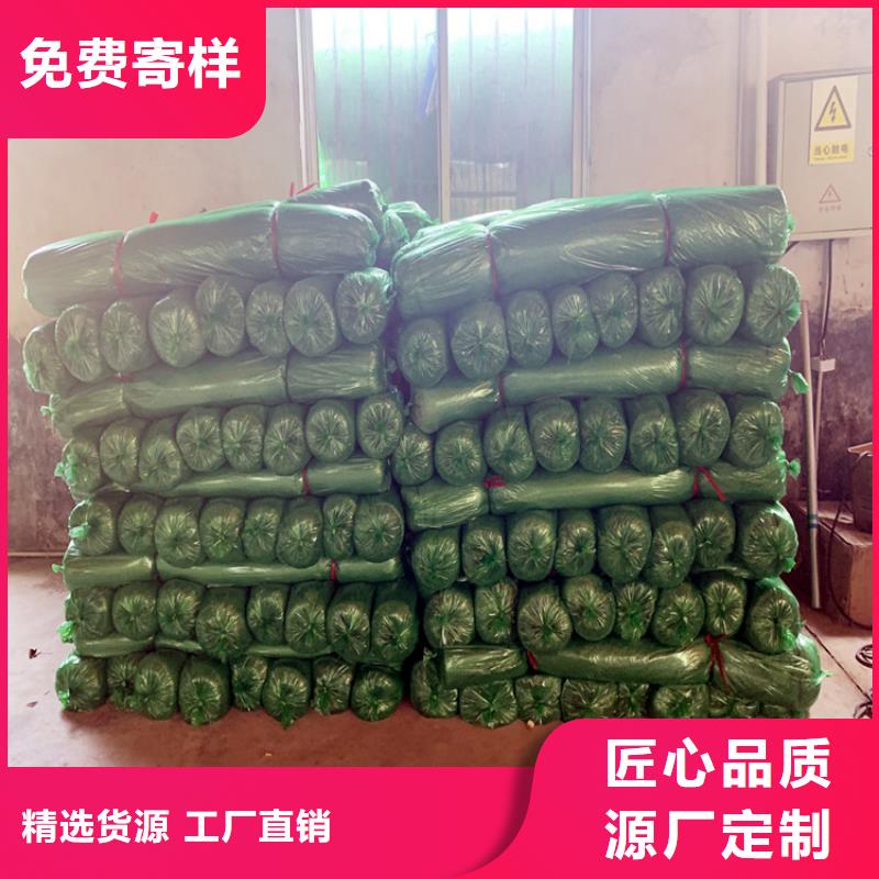 盖土网10年生产厂家