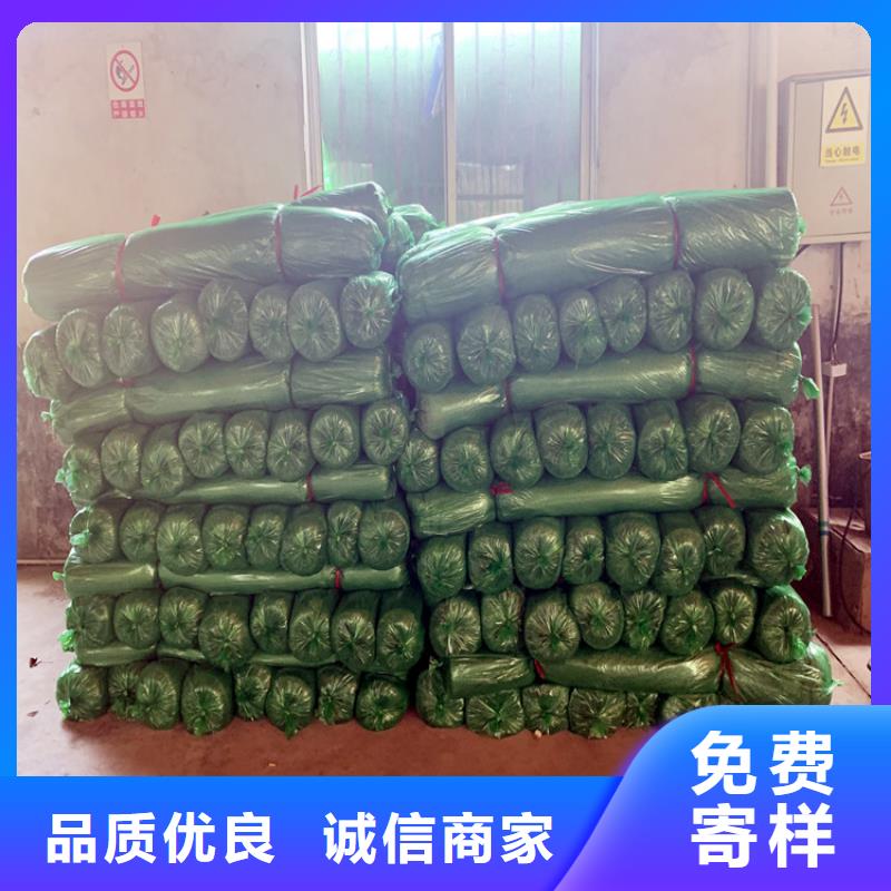 盖土网厂家现货直发