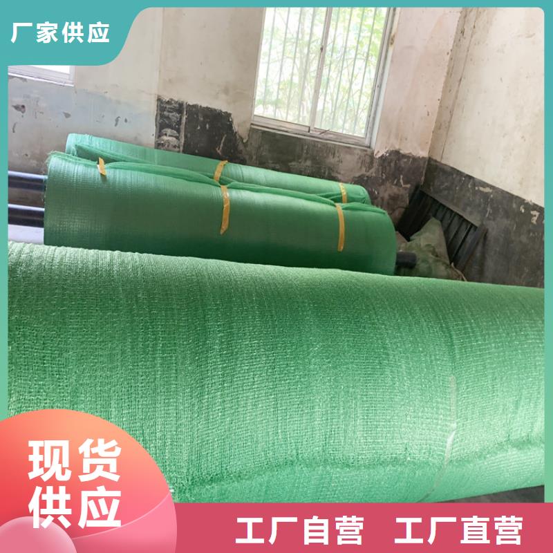盖土网10年生产厂家