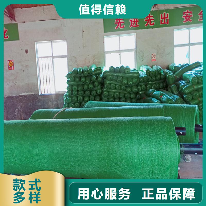 盖土网行业资讯实力商家供货稳定