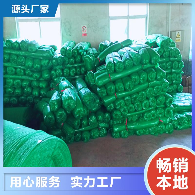 诚信经营盖土网厂家生产型