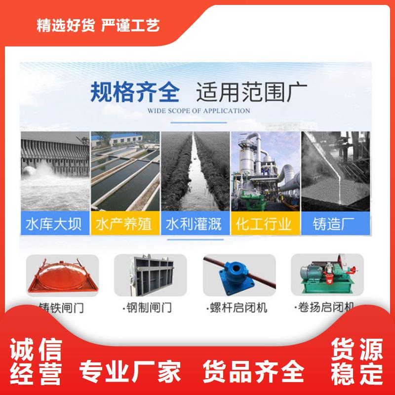 专业销售启闭机质量有保证