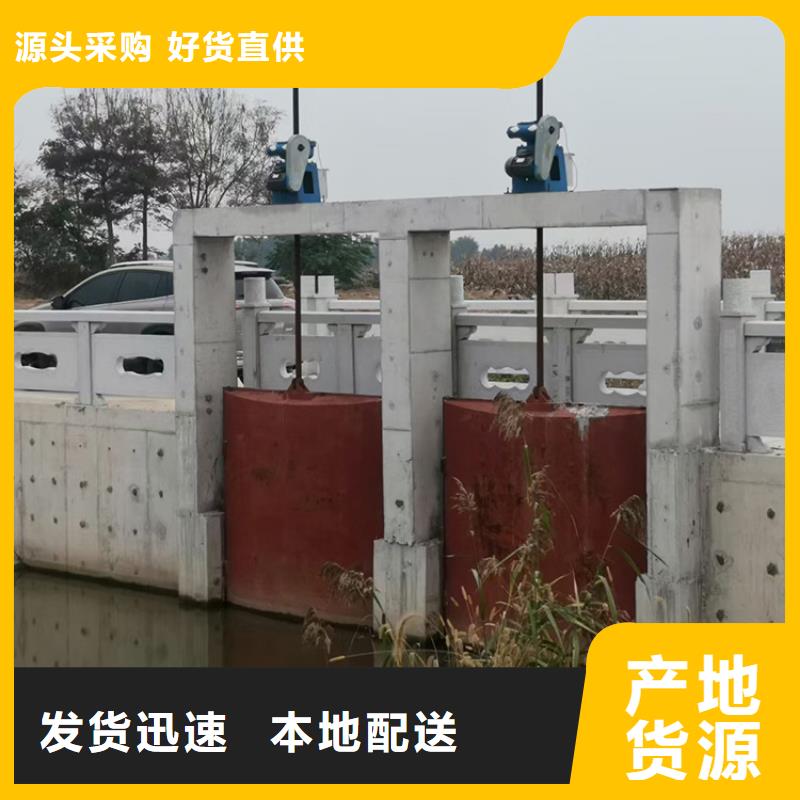 铸铁闸门本地正规大厂