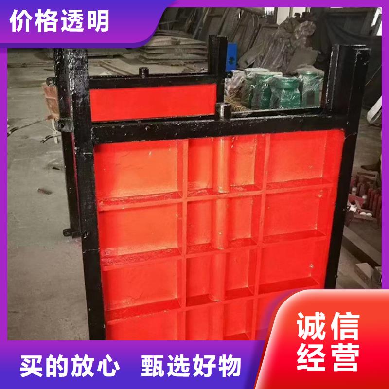 可按需定做铸铁闸门的厂家