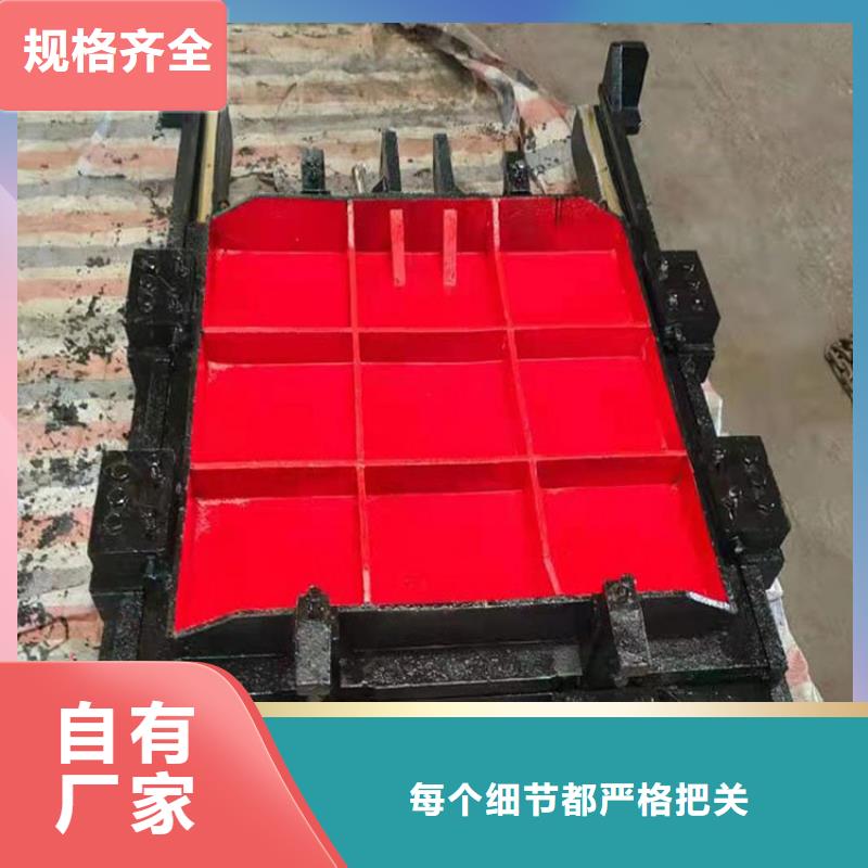 2025源头厂家#铸铁闸门#专业定制