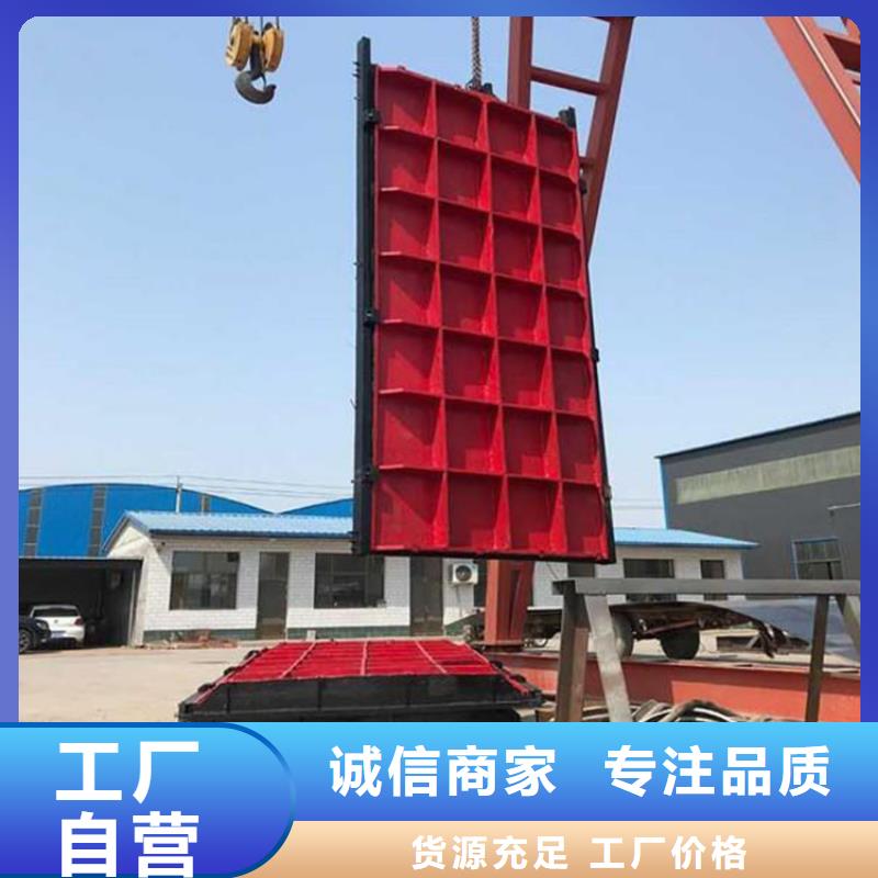 有实力的铸铁闸门厂家