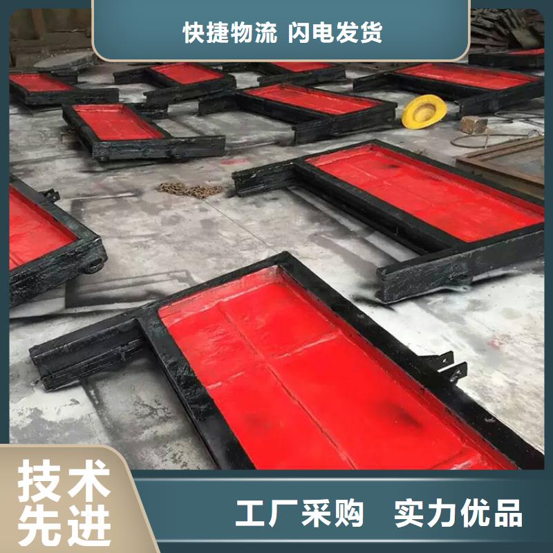专业生产制造铸铁闸门