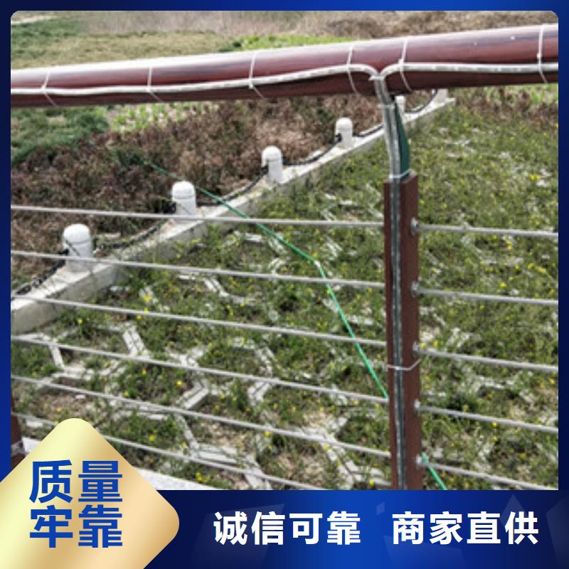 钢丝绳护栏厂家批发