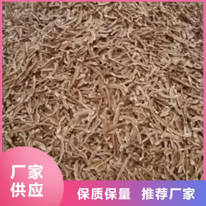 灵芝孢子粉行内优选